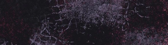 Tôi Tưởng Bản Thân Không Còn Sống Được Bao Lâu! Chapter 49.1 - 41