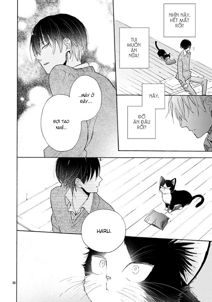 Doukyonin Wa Hiza, Tokidoki, Atama No Ue Chapter 2.5 - 10