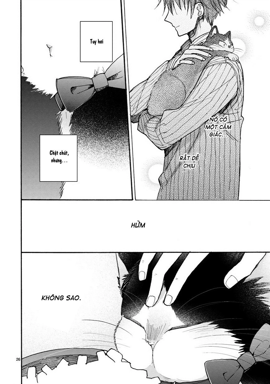 Doukyonin Wa Hiza, Tokidoki, Atama No Ue Chapter 6.5 - 11