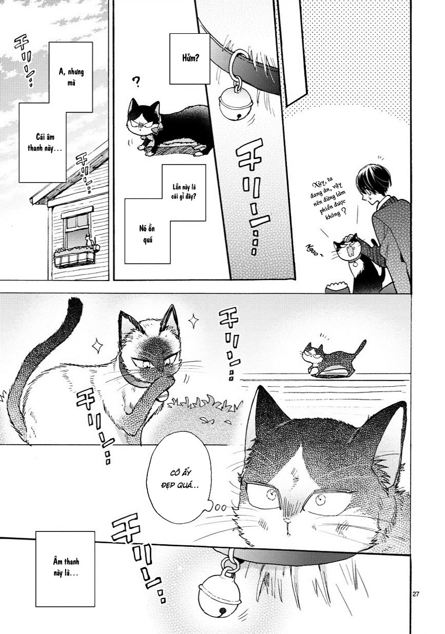 Doukyonin Wa Hiza, Tokidoki, Atama No Ue Chapter 6.5 - 12