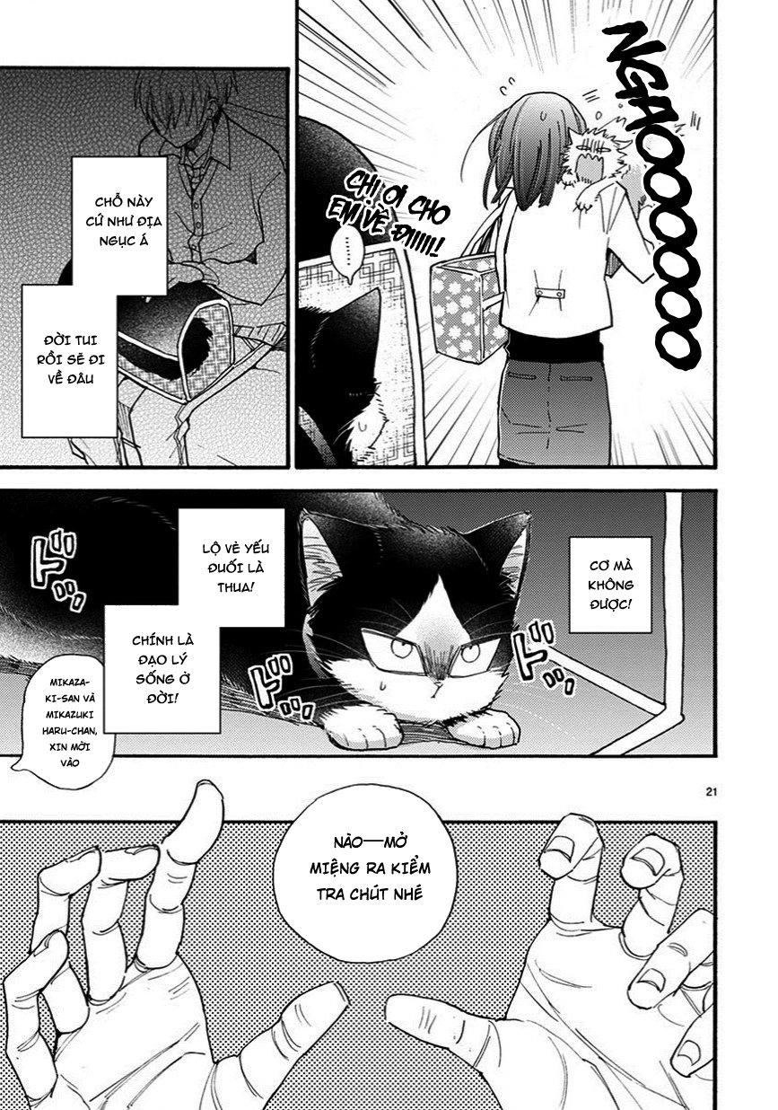 Doukyonin Wa Hiza, Tokidoki, Atama No Ue Chapter 7.5 - 10