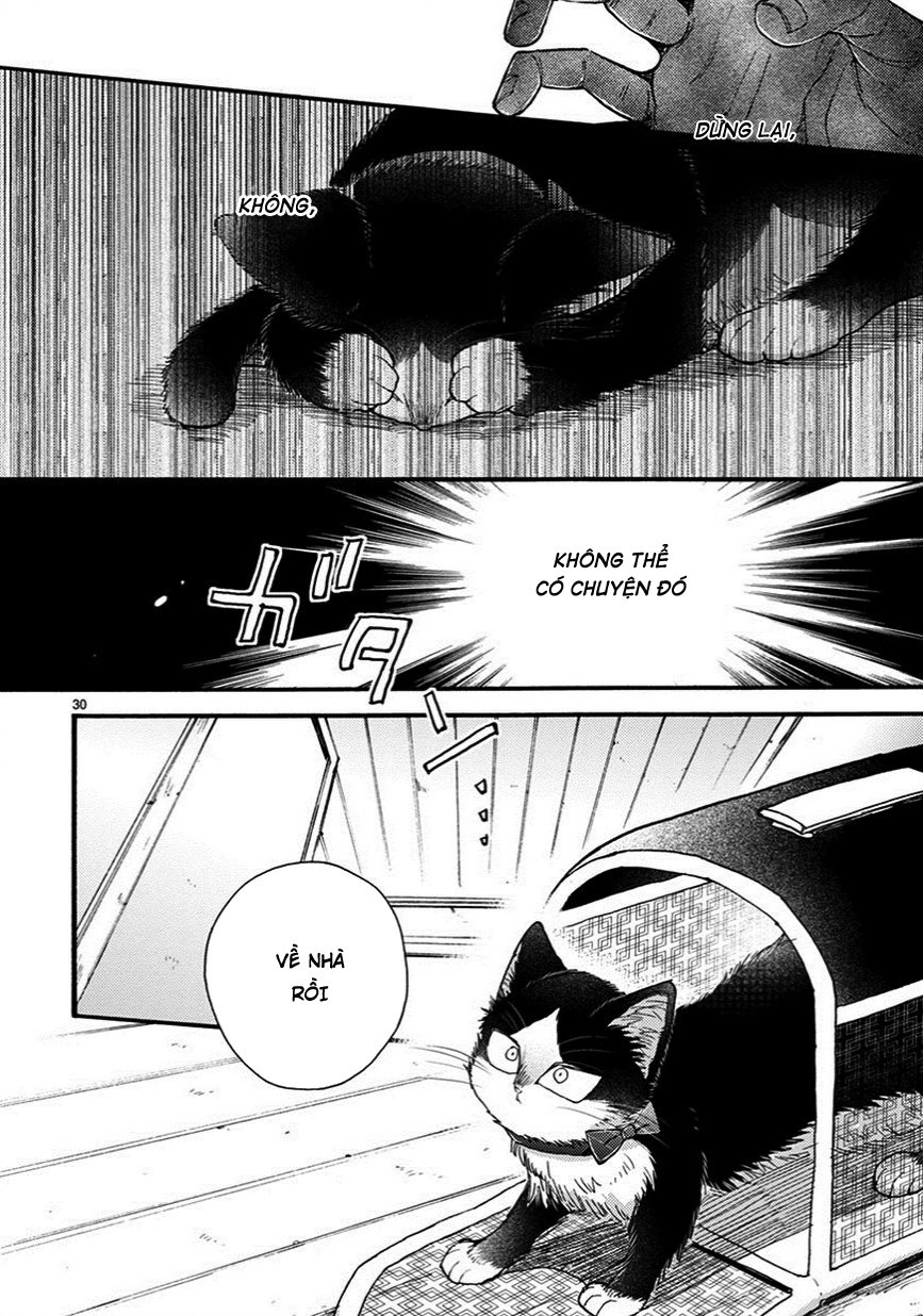 Doukyonin Wa Hiza, Tokidoki, Atama No Ue Chapter 7.5 - 19