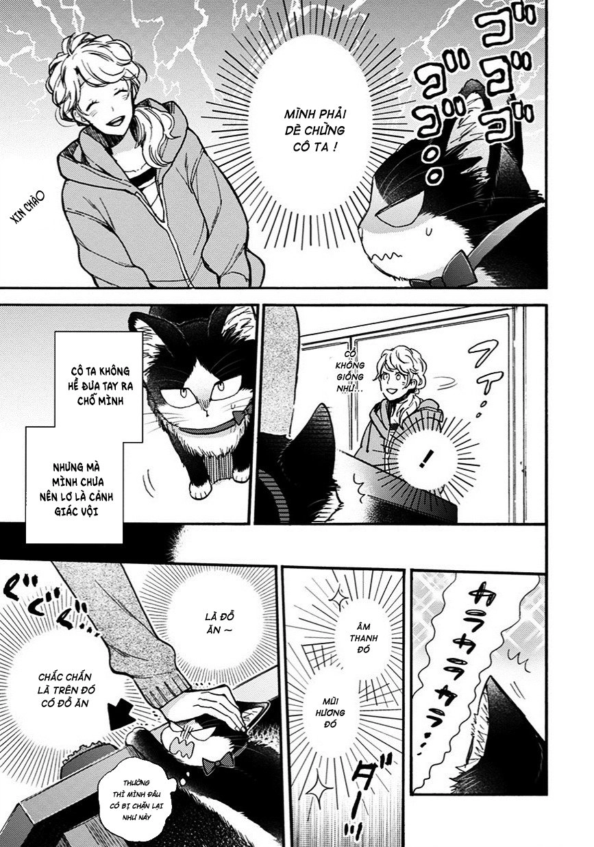 Doukyonin Wa Hiza, Tokidoki, Atama No Ue Chapter 8.5 - 8