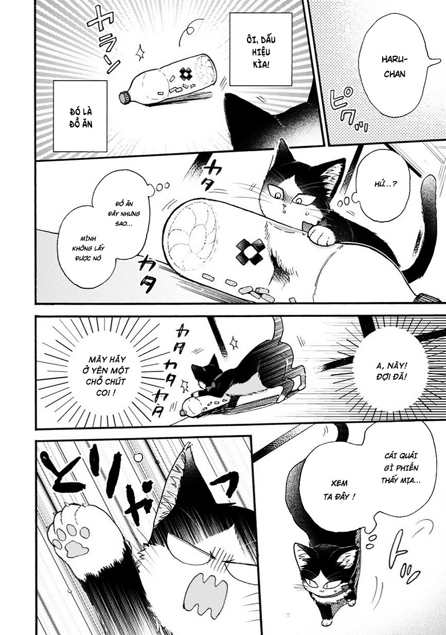 Doukyonin Wa Hiza, Tokidoki, Atama No Ue Chapter 8.5 - 9