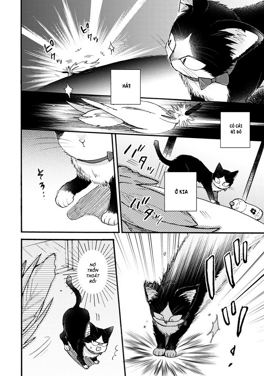 Doukyonin Wa Hiza, Tokidoki, Atama No Ue Chapter 8.5 - 11