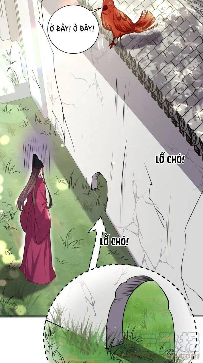 Hoạn Phi Thiên Hạ Chapter 127 - 26