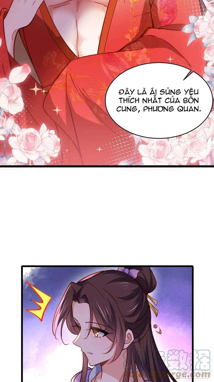 Hoạn Phi Thiên Hạ Chapter 169 - 26