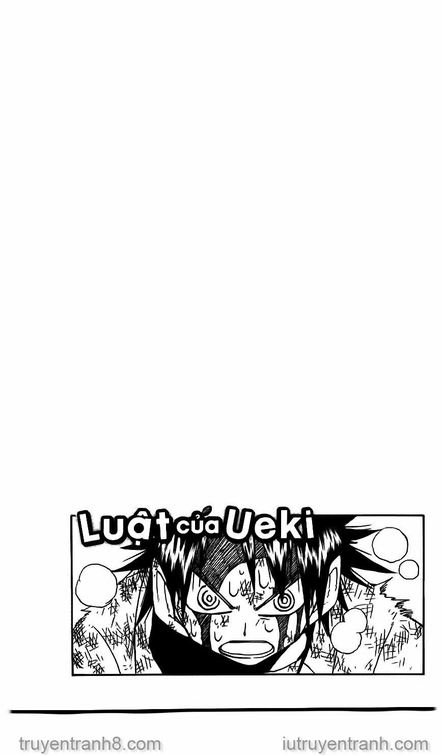 Law Of Ueki Chapter 81 - 22