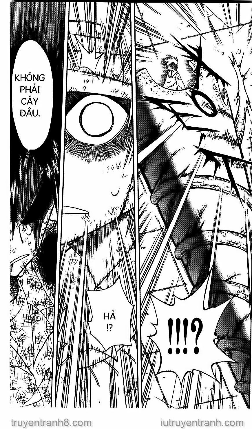 Law Of Ueki Chapter 82 - 16