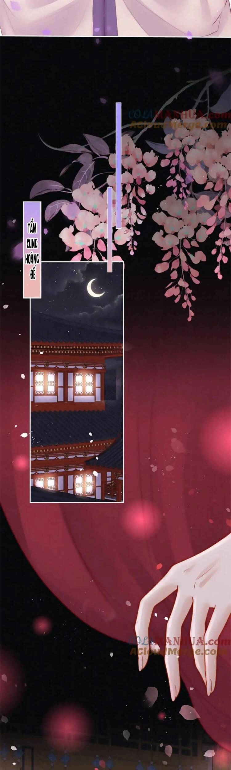 Nữ Đế Và Dàn Hậu Cung Siêu Phẩm Chapter 19 - 16