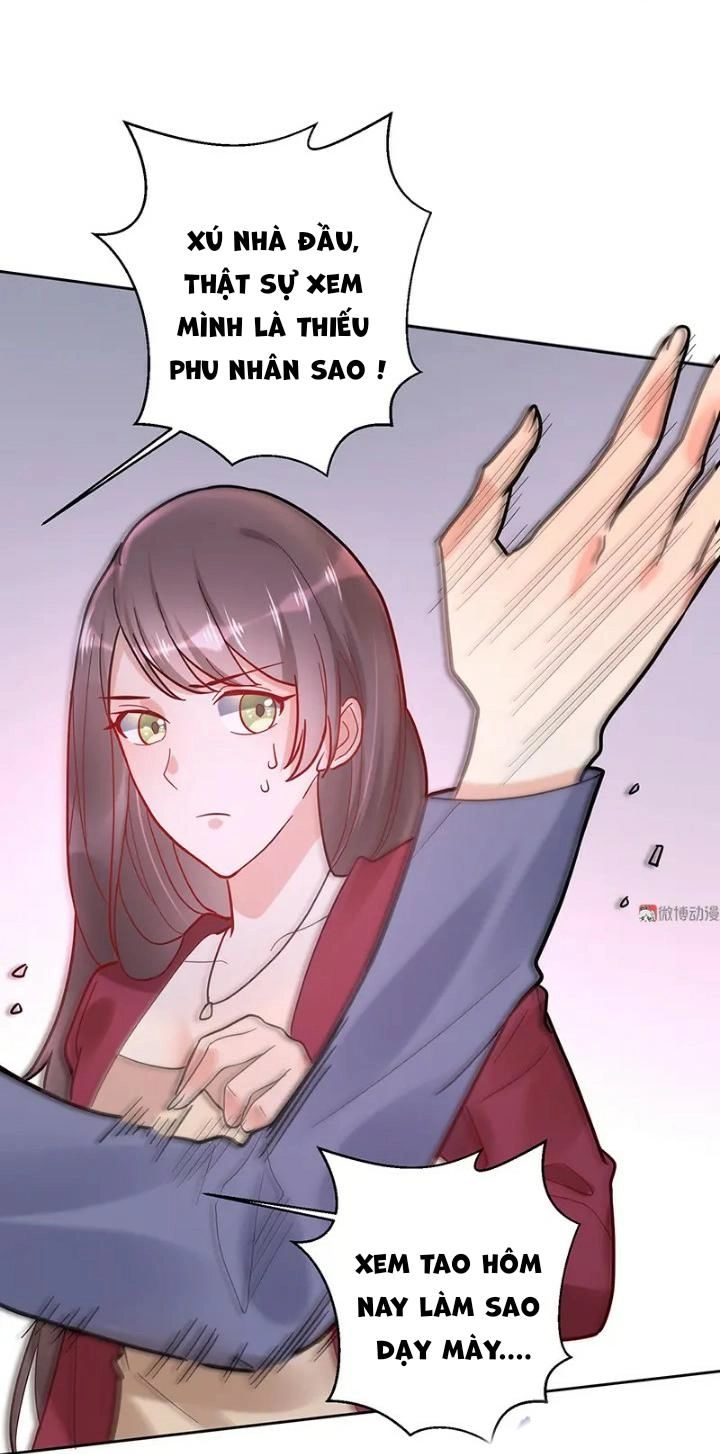 Tổng Tài Truy Thê: Phu Nhân Đừng Hòng Trốn Chapter 21 - 10