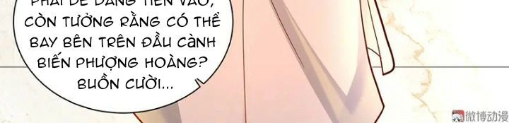 Tổng Tài Truy Thê: Phu Nhân Đừng Hòng Trốn Chapter 23 - 10