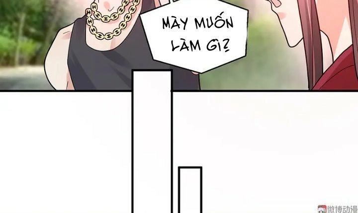 Tổng Tài Truy Thê: Phu Nhân Đừng Hòng Trốn Chapter 28 - 13