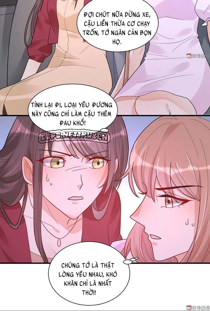 Tổng Tài Truy Thê: Phu Nhân Đừng Hòng Trốn Chapter 28 - 17