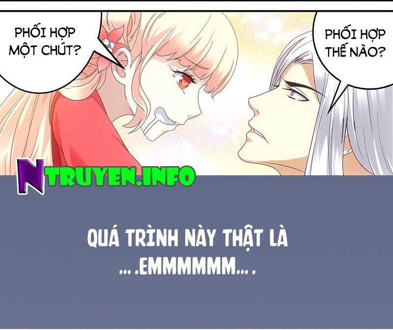 Yêu Phi Bám Lấy Không Buông Chapter 1 - 6