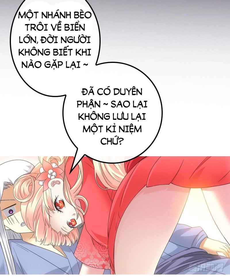 Yêu Phi Bám Lấy Không Buông Chapter 2 - 13