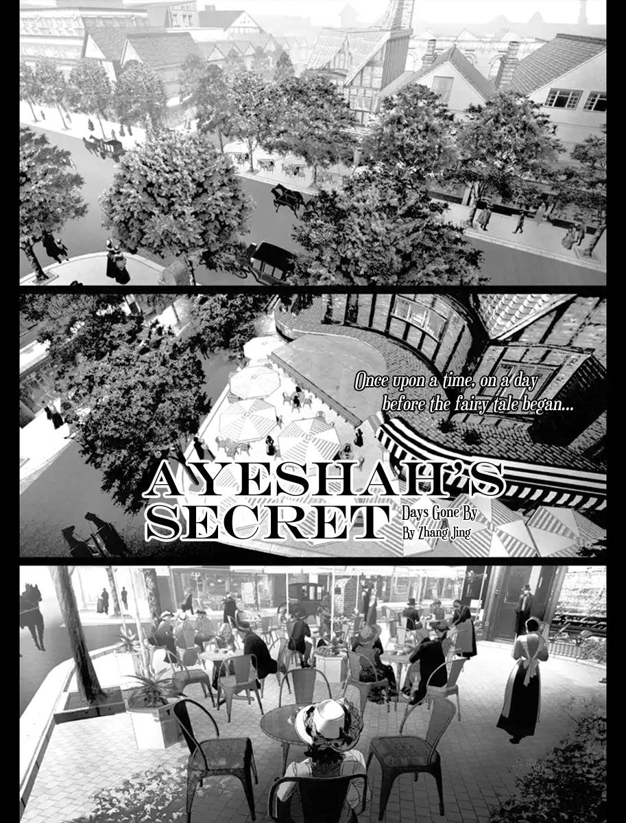 Ayeshah's Secret Chapter 13 - 2