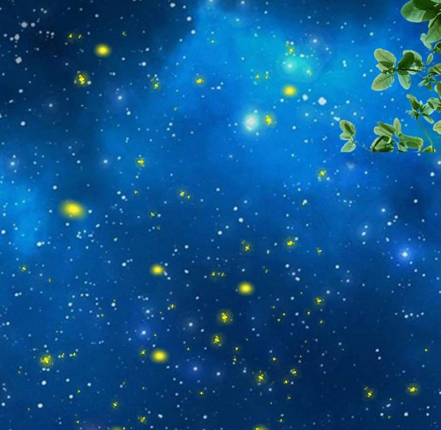 100 Phương Thức Đẩy Ngã Ca Ca Chapter 7 - 7