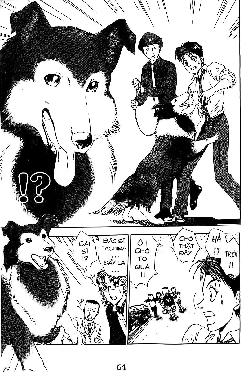 Bàn Tay Thần Sầu Teru Chapter 104 - 16