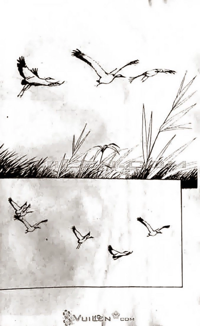 Thần Điêu Đại Hiệp Chapter 17 - 22