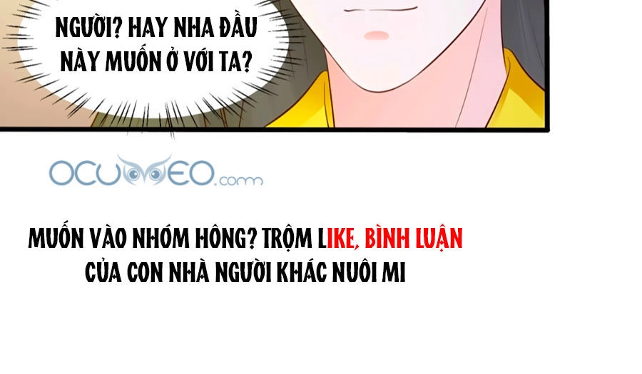 Bệ Hạ! Dưa Hái Xanh Không Ngọt Chapter 3 - 31