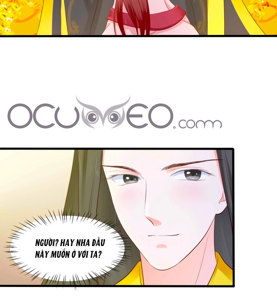 Bệ Hạ! Dưa Hái Xanh Không Ngọt Chapter 4 - 28