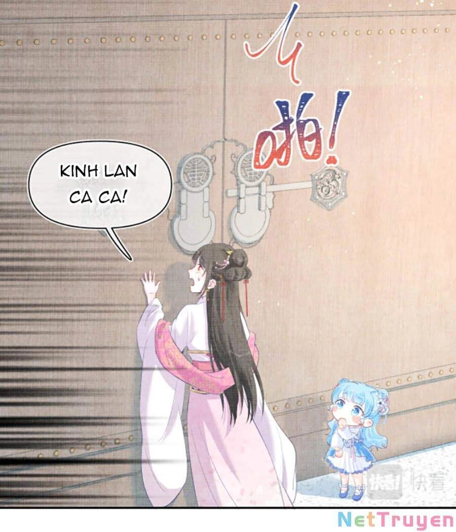 Giao Nhân Tể Tể Ba Tuổi Rồi! Chapter 5 - 12