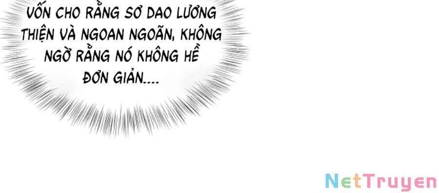 Giao Nhân Tể Tể Ba Tuổi Rồi! Chapter 6 - 12