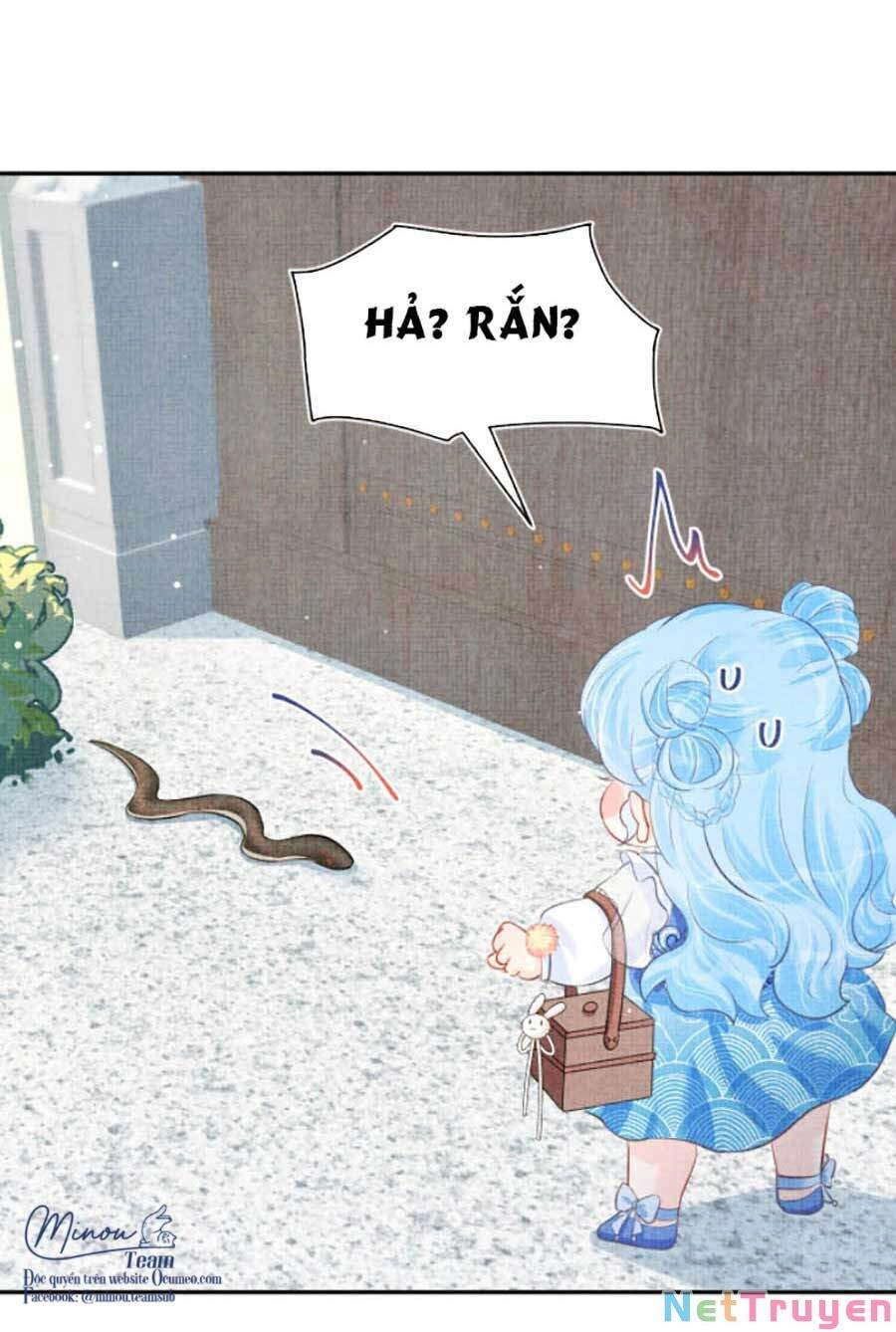 Giao Nhân Tể Tể Ba Tuổi Rồi! Chapter 16 - 42