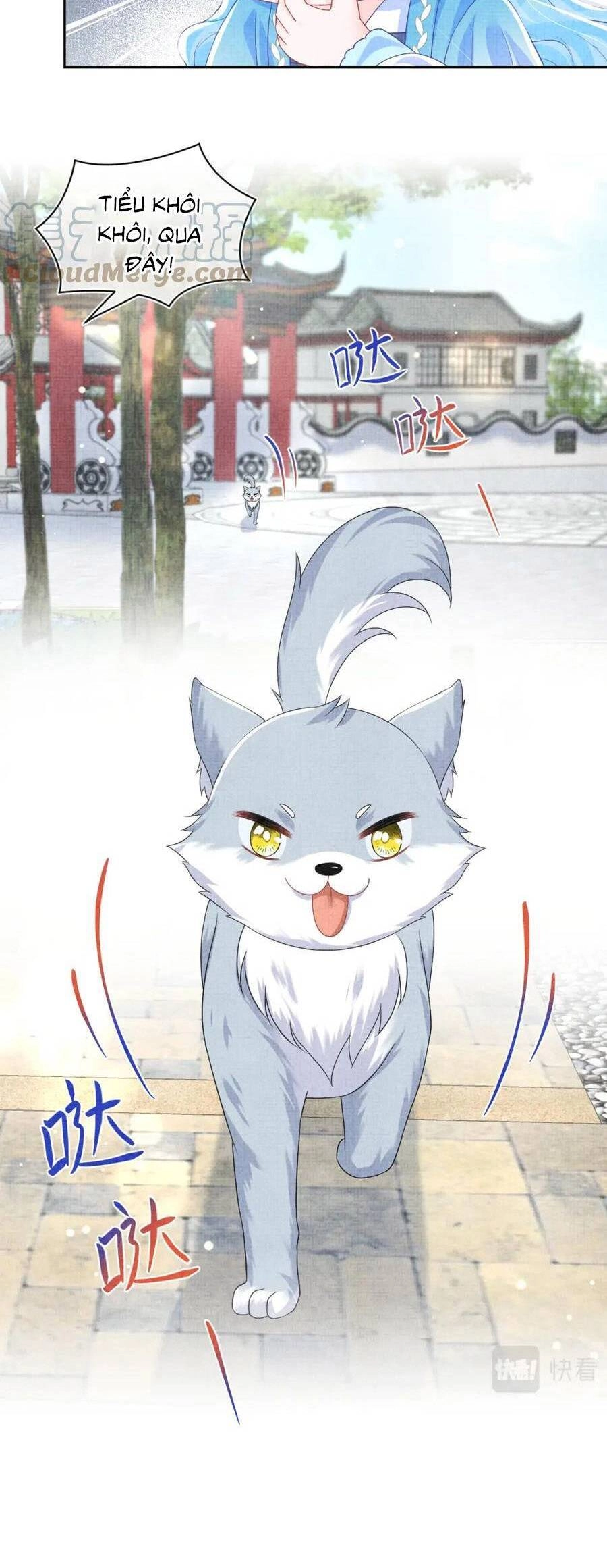 Giao Nhân Tể Tể Ba Tuổi Rồi! Chapter 156 - 19