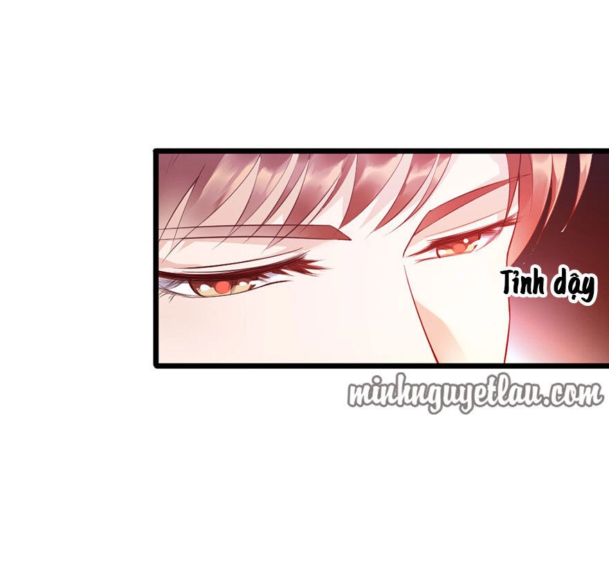 Tiểu Bạch Điềm Thê Của Long Thiếu Chapter 27 - 50