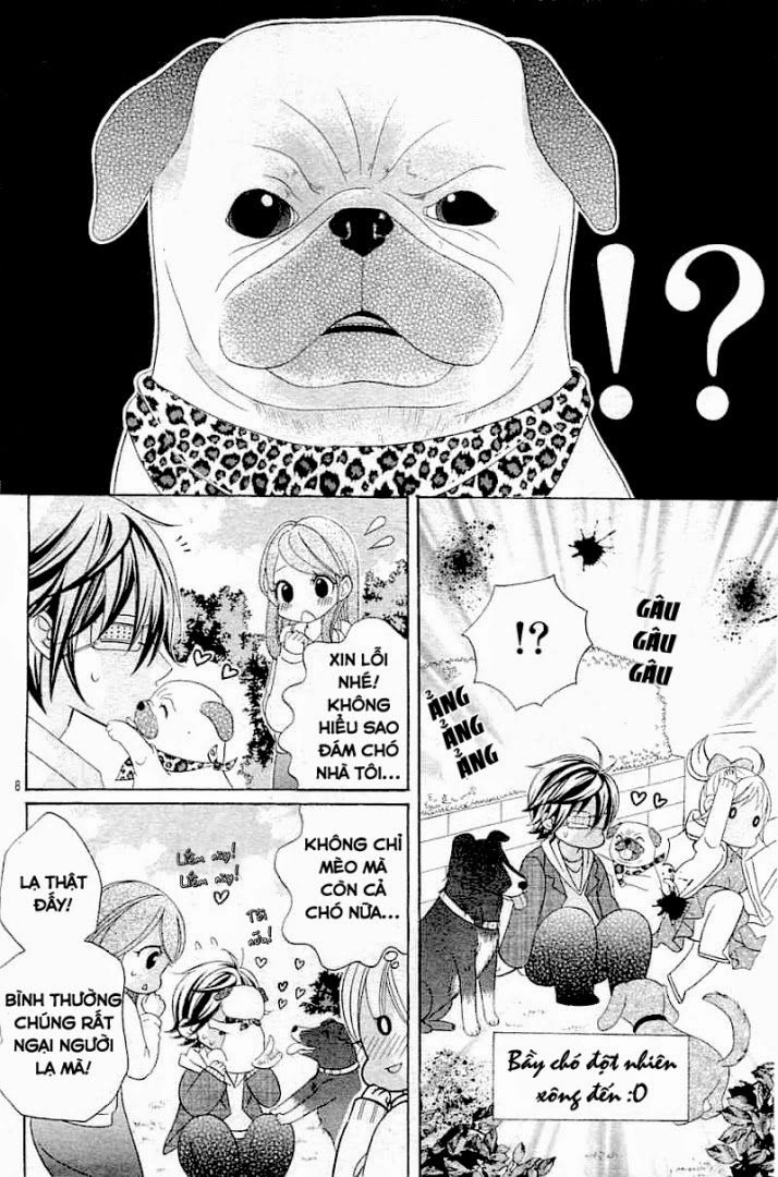 Cuộc Gặp Gỡ Diệu Kỳ Chapter 20 - 11