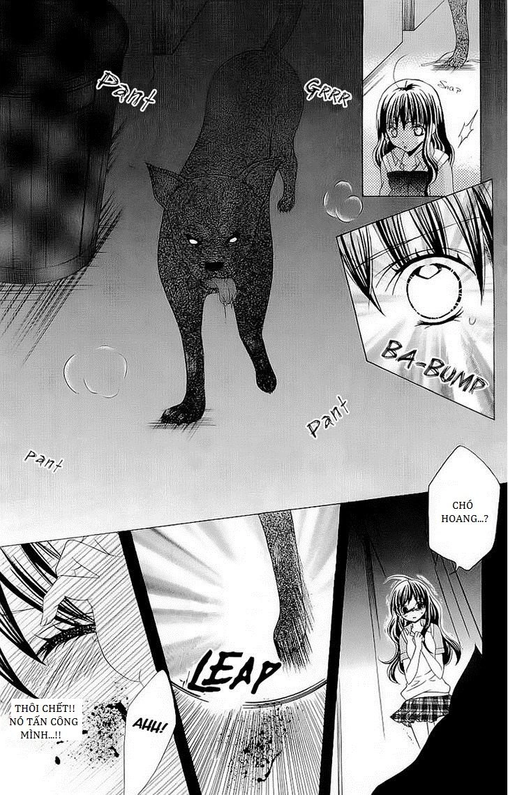 Cuộc Gặp Gỡ Diệu Kỳ Chapter 26 - 13