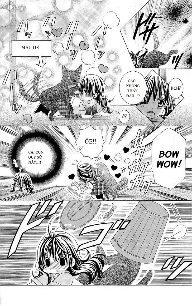 Cuộc Gặp Gỡ Diệu Kỳ Chapter 26 - 14