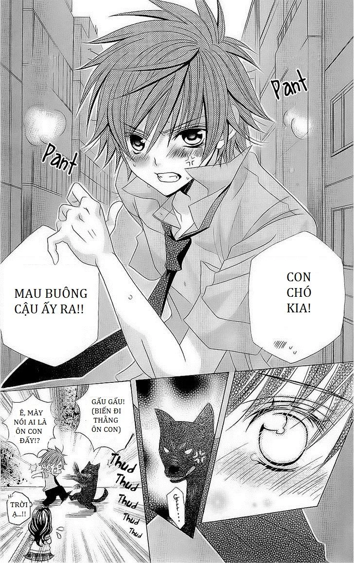 Cuộc Gặp Gỡ Diệu Kỳ Chapter 26 - 15