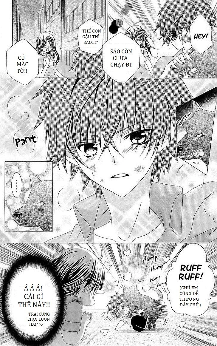 Cuộc Gặp Gỡ Diệu Kỳ Chapter 26 - 16