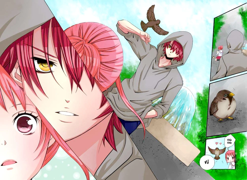 Cuộc Gặp Gỡ Diệu Kỳ Chapter 28 - 12