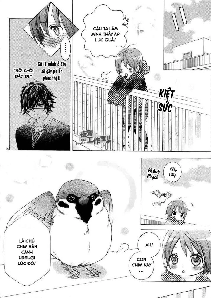 Cuộc Gặp Gỡ Diệu Kỳ Chapter 31 - 27