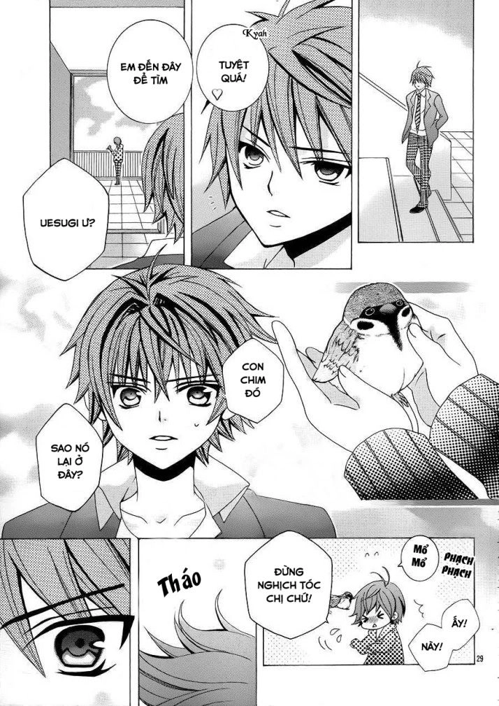 Cuộc Gặp Gỡ Diệu Kỳ Chapter 31 - 28