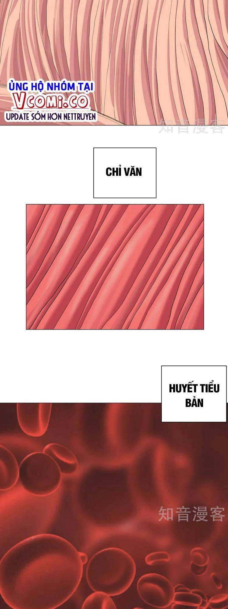 Tu Tiên Giả Đại Chiến Siêu Năng Lực Chapter 181 - 3