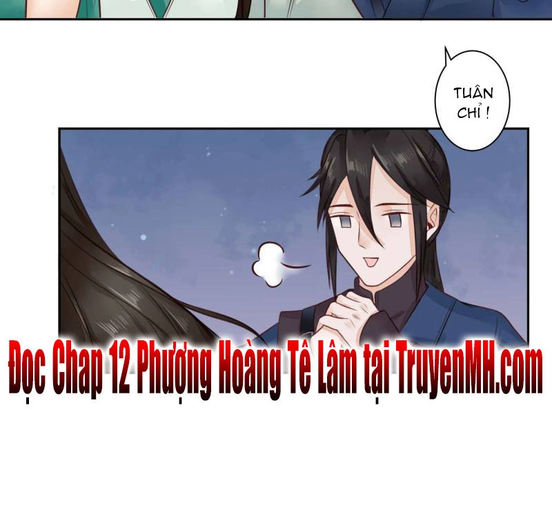 Phượng Hoàng Tê Lâm Chapter 11 - 14