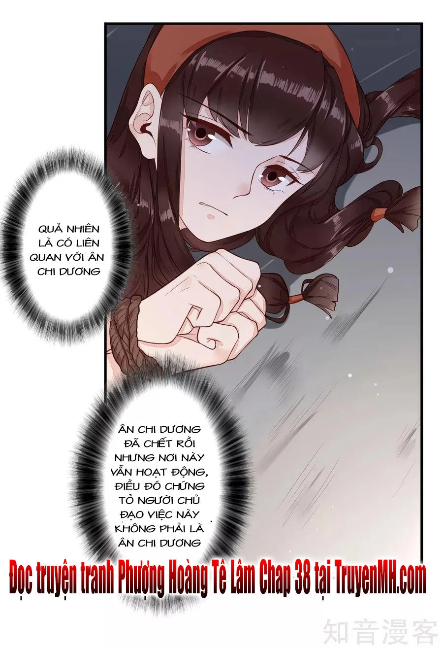 Phượng Hoàng Tê Lâm Chapter 37 - 20