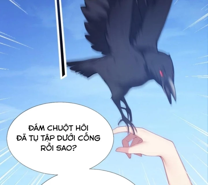 Thánh Nữ, Xin Hãy Dừng Ngay Những Trò Quái Đản Của Cô Đi!! Chapter 153 - 84