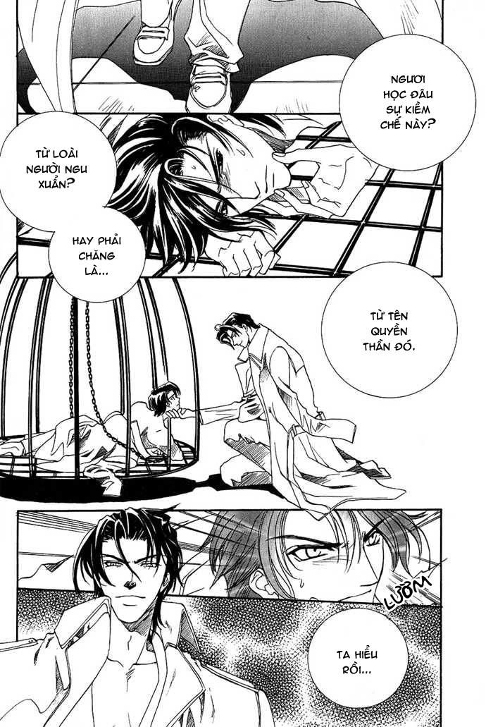 Innocent Bird Chapter 4 - 12