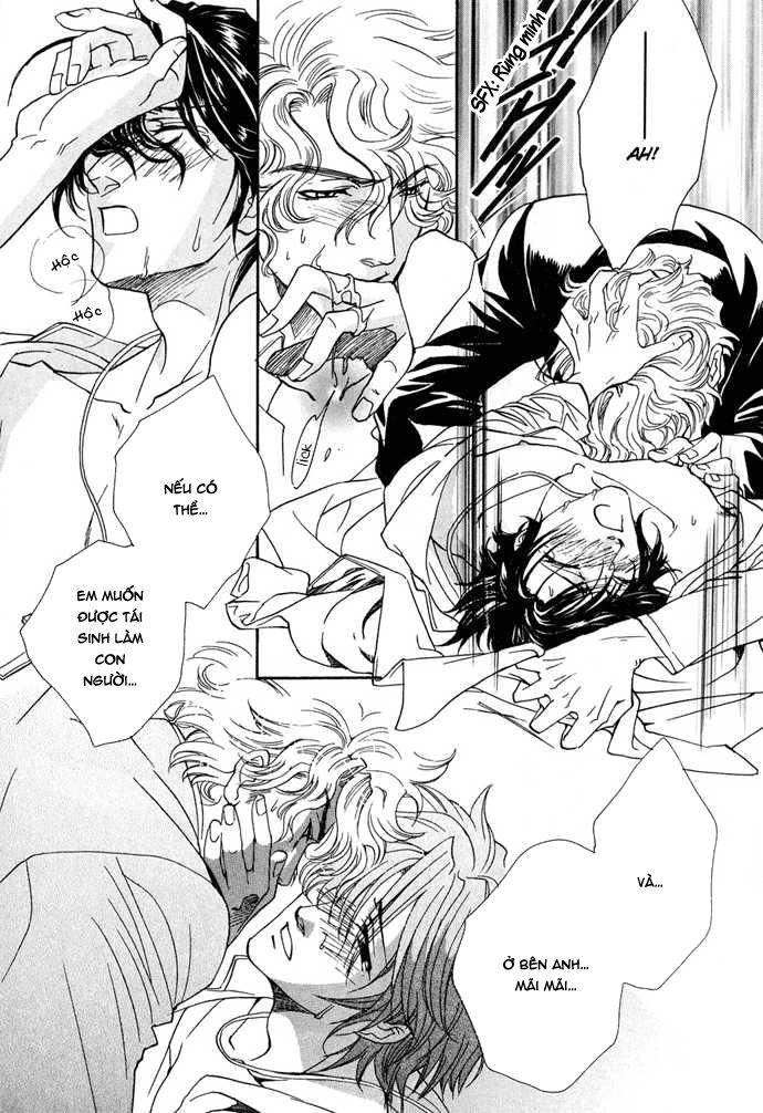 Innocent Bird Chapter 12 - 23