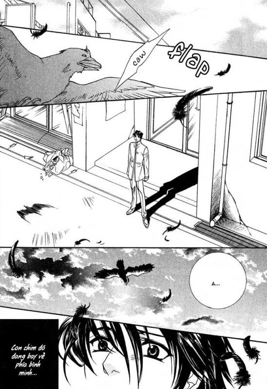 Innocent Bird Chapter 13 - 42