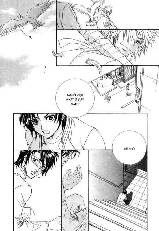 Innocent Bird Chapter 13 - 47