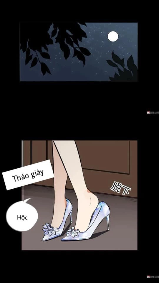 Giày Thủy Tinh Chapter 35 - 15