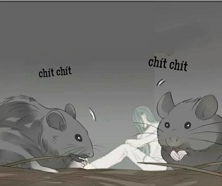 Thiên Hạ Vô Lại Chapter 22 - 31