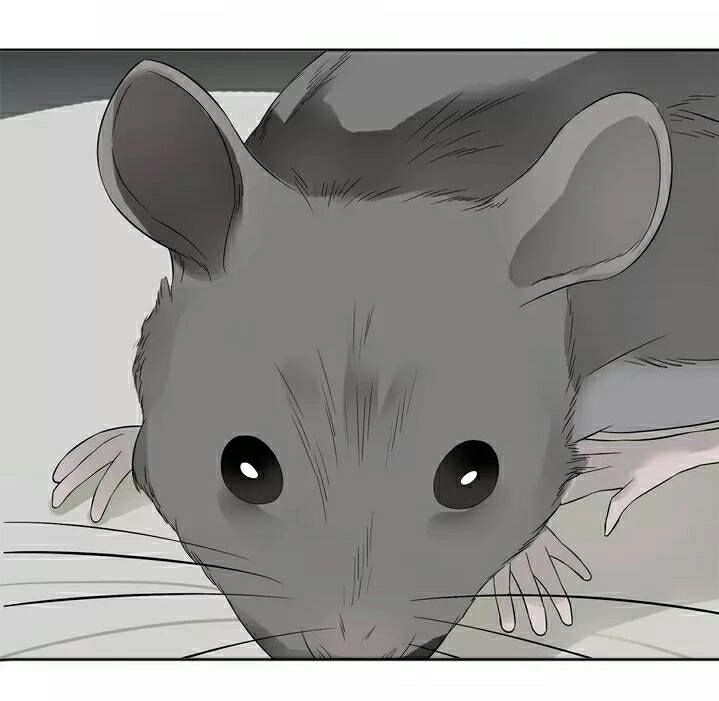 Thiên Hạ Vô Lại Chapter 22 - 47